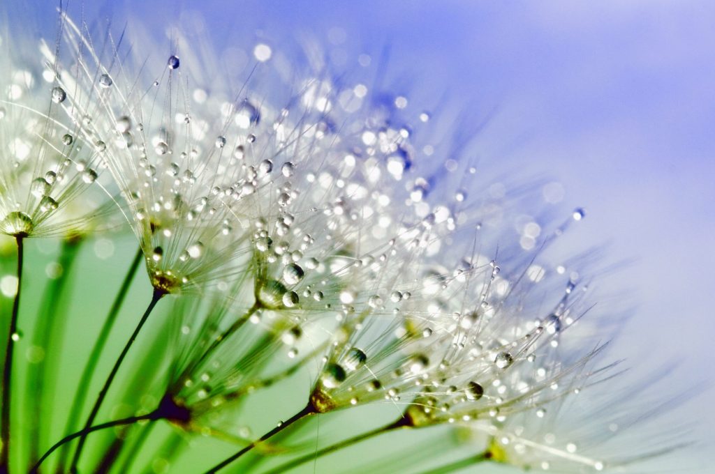 Eau et environnement